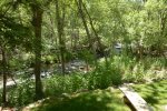 Views of the creek and back yard